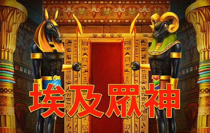 55世纪官网首页